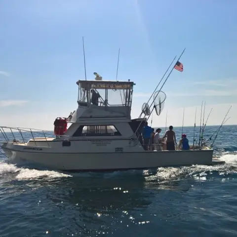 Fishing charter photo 13 of 43