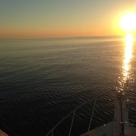 Fishing charter photo 19 of 43